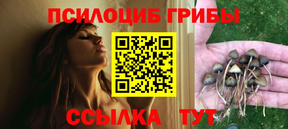 Галлюциногенные грибы MAGIC MUSHROOMS  Псилоцибиновые грибы ЛСД  Гатчина  хочу наркоту  Вход с VPN 