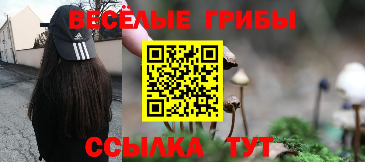 Галлюциногенные грибы MAGIC MUSHROOMS Гатчина